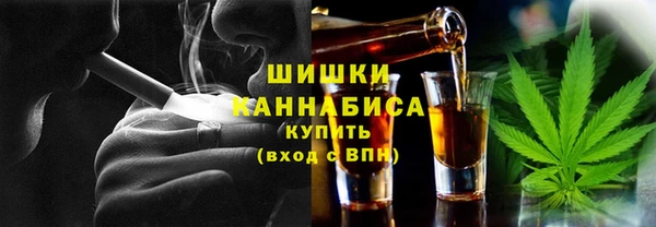 гашик Алексин