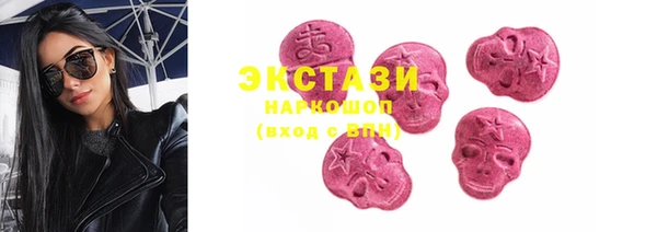 гашик Алексин