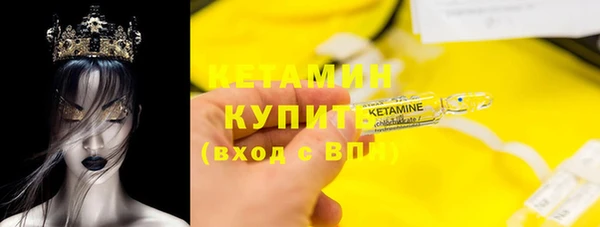 гашик Алексин