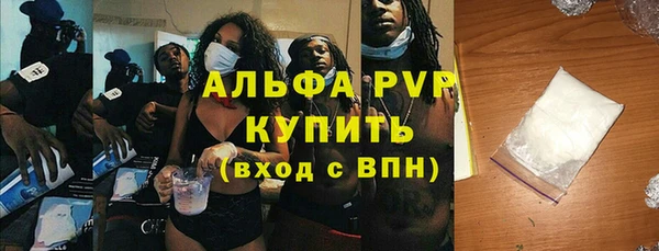 гашик Алексин