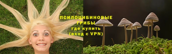 молекула духа Алексеевка