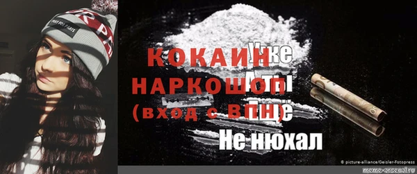 гашик Алексин